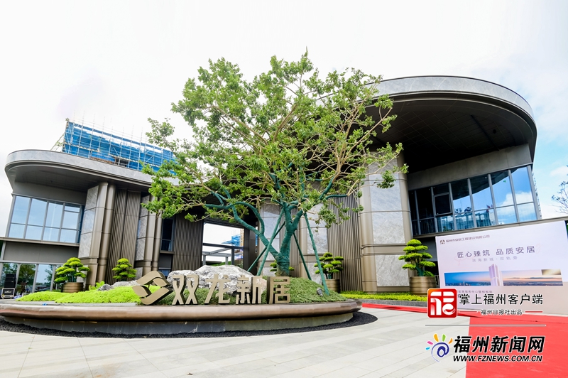 板房国庆开放 众多市民前往参观凯发K8国际版滨海双龙新居样(图3)